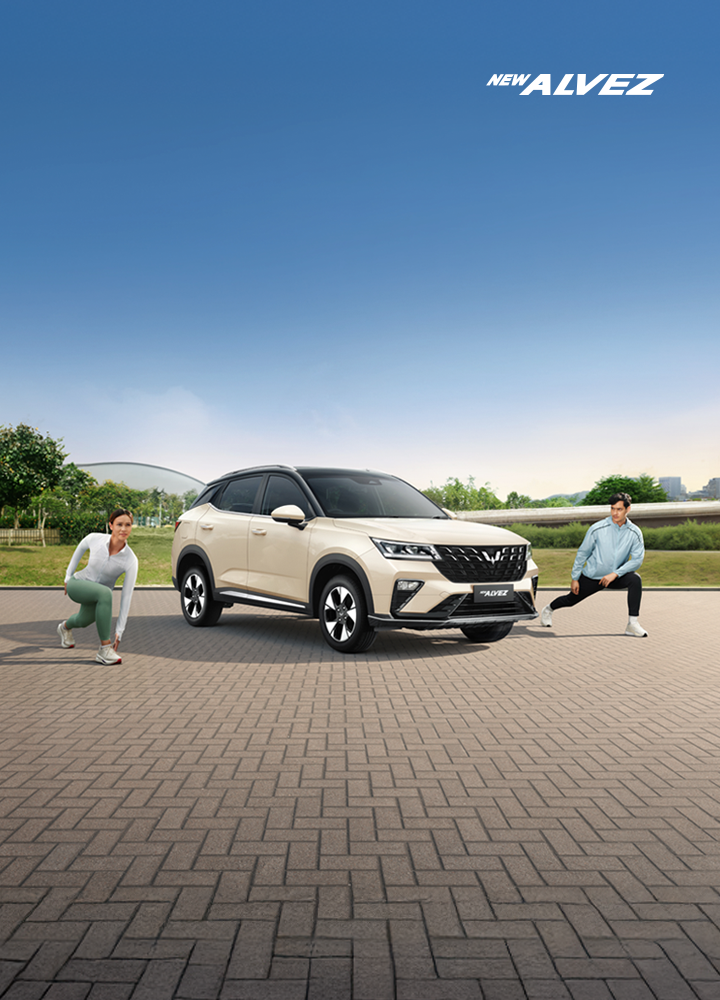 New Alvez